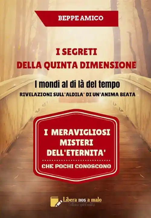 I segreti della quinta dimensione. I mondi al di là del tempo. Rivelazioni sull‘aldilà di un‘anima beata. I meravigliosi misteri dell’eternità che pochi conoscono Professionale