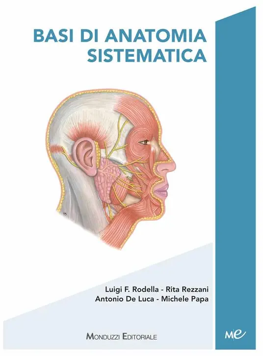 Occasione Basi di anatomia sistematica