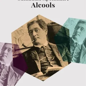 Offerta Lampo Alcools. Testo francese a fronte. Ediz. bilingue