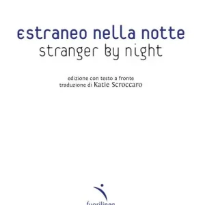 Estraneo nella notte-Stranger by night. Testo inglese a fronte. Ediz. bilingue Direttamente Dal Produttore