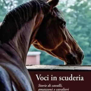 Prezzo Conveniente Voci in scuderia. Storie di cavalli, amazzoni e cavalieri