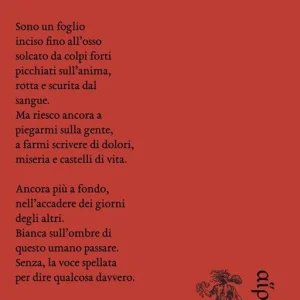 Compra Online Fogli