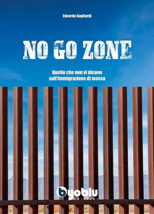 No go zone. Quello che non vi dicono sull‘immigrazione di massa Prezzo Di Fabbrica