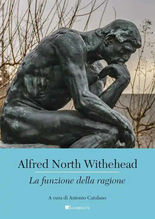 Direttamente Dal Produttore La funzione della ragione
