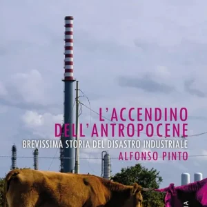 L‘accendino dell‘Antropocene. Brevissima storia del disastro industriale Affare