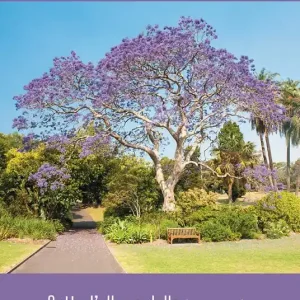 Sotto l‘albero della jacaranda. Una donna incontra sé stessa Offerta Speciale