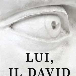 Vendita Finale Lui, il David. La scultura più famosa del mondo raccontata da Michelangelo in persona... o quasi