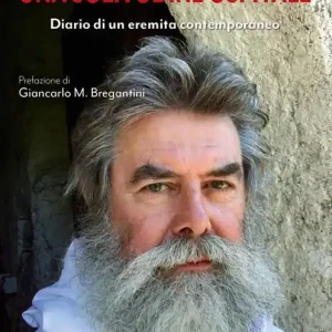 Una solitudine ospitale. Diario di un eremita contemporaneo Promozione