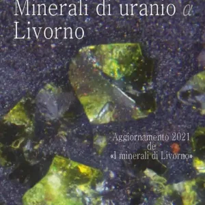 Toscana. Minerali di uranio a Livorno Novità