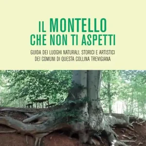 Solo Oggi Il Montello che non ti aspetti. Guida dei luoghi naturali, storici e artistici dei comuni di questa collina trevigiana