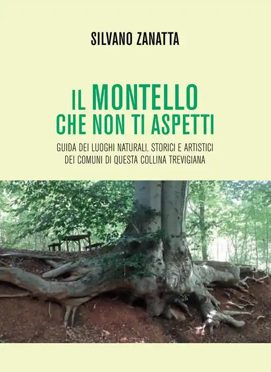 Solo Oggi Il Montello che non ti aspetti. Guida dei luoghi naturali, storici e artistici dei comuni di questa collina trevigiana