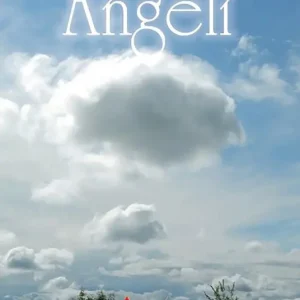 Promozione Angeli