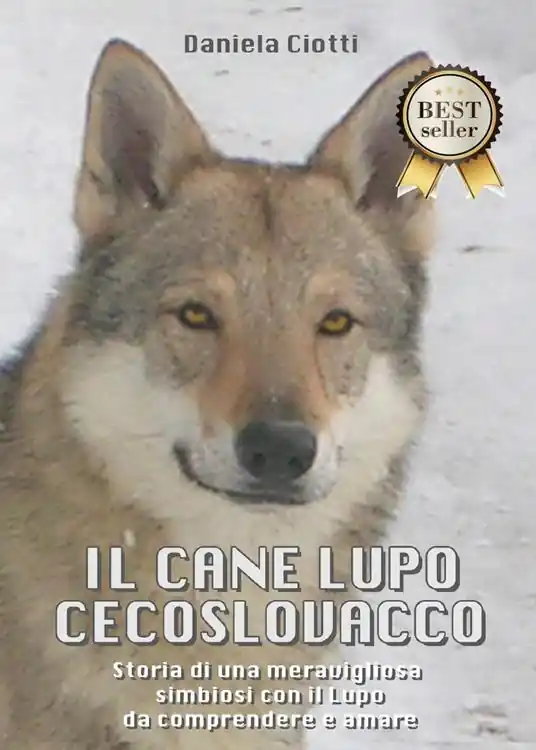Solo Oggi Il cane lupo cecoslovacco. Storia di una meravigliosa simbiosi con il lupo da comprendere e amare