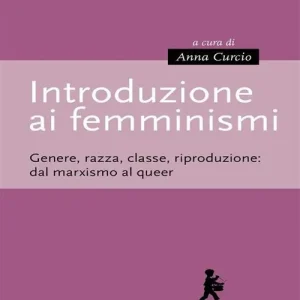 Introduzione ai femminismi. Genere, razza, classe, riproduzione dal marxismo al queer Nuova Collezione