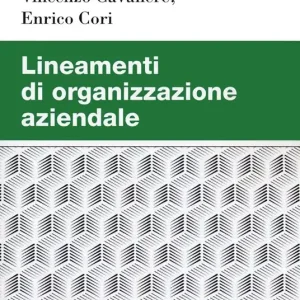 Promozione Esclusiva Lineamenti di organizzazione aziendale