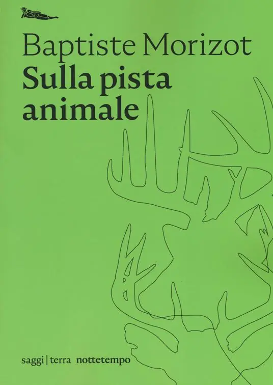 Offerta Sulla pista animale