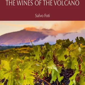 Etna. I vini del vulcano. Ediz. inglese Affare
