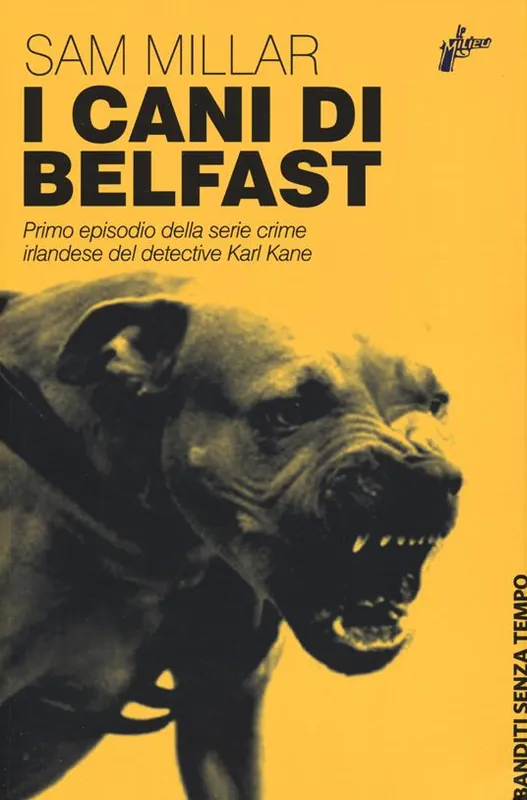 I cani di Belfast Ultime Pezzi