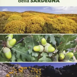 Alberi, arbusti e erbe della Sardegna. Ediz. a colori Promo Stagionale