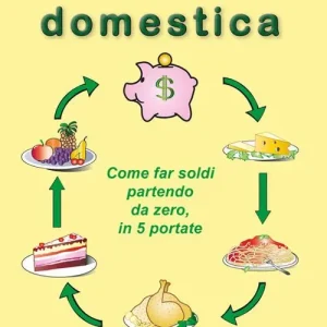Ultimissimo Modello Economia domestica. Come far soldi partendo da zero, in 5 portate. Ediz. a caratteri grandi