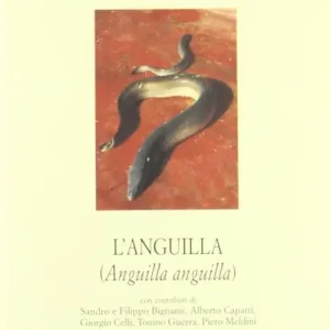 Bestseller L‘anguilla