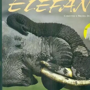 Elefanti. Ediz. illustrata Reso Gratuito