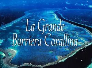 La grande barriera corallina. Ediz. illustrata Super Prezzo