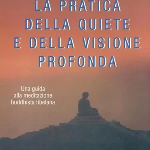 Prezzo Basso La pratica della quiete e della visione profonda